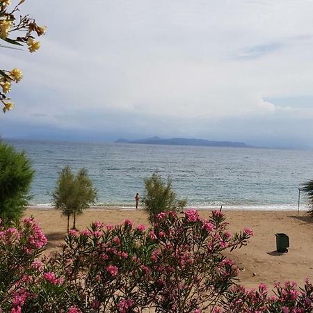 Perfect Beachfront Apartment 雅典 外观 照片