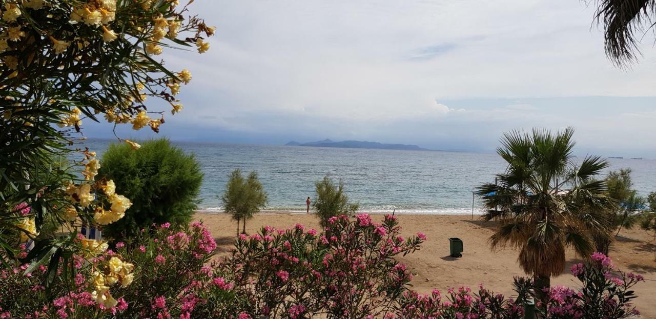 Perfect Beachfront Apartment 雅典 外观 照片